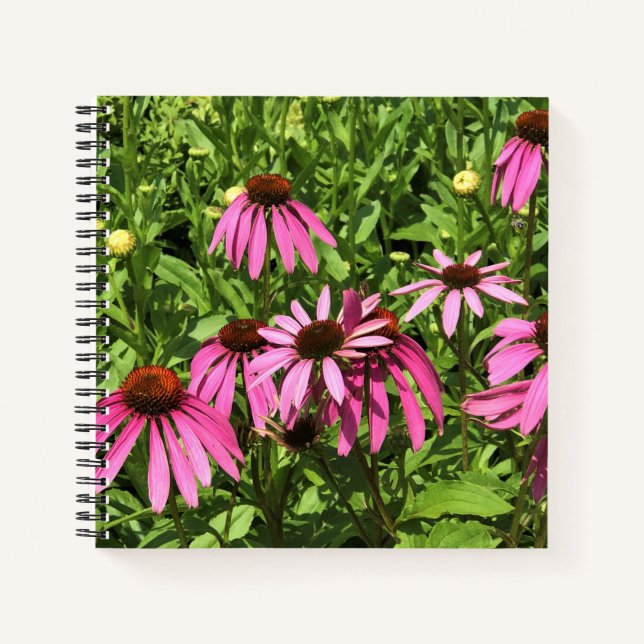 Flowers at Chateau Morrisette Winery, Floyd, VA Notebook (Front)