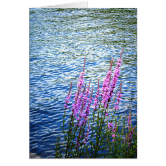 "Flowers at Long Pond"