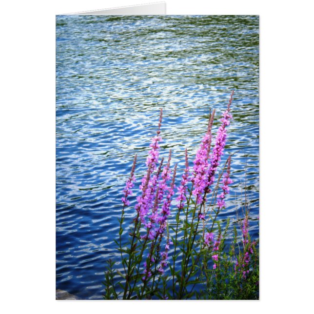 "Flowers at Long Pond" (Front)
