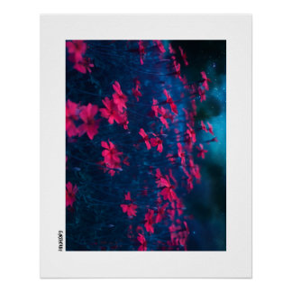 Flowers At Night Poster