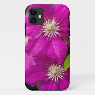 Flowers at Robinette's Apple Haus and Gift Barn 2 iPhone 11 Case
