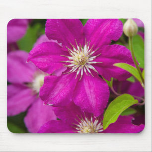 Flowers at Robinette's Apple Haus and Gift Barn 2 Mouse Pad