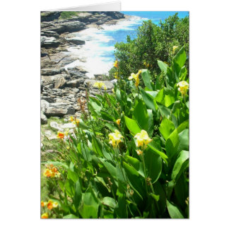 Flowers at Tamarama Cove