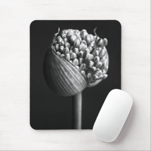 Flowers   B&W Allium Flower Bud Mouse Pad