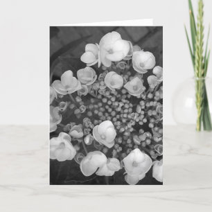 Flowers B&W Card