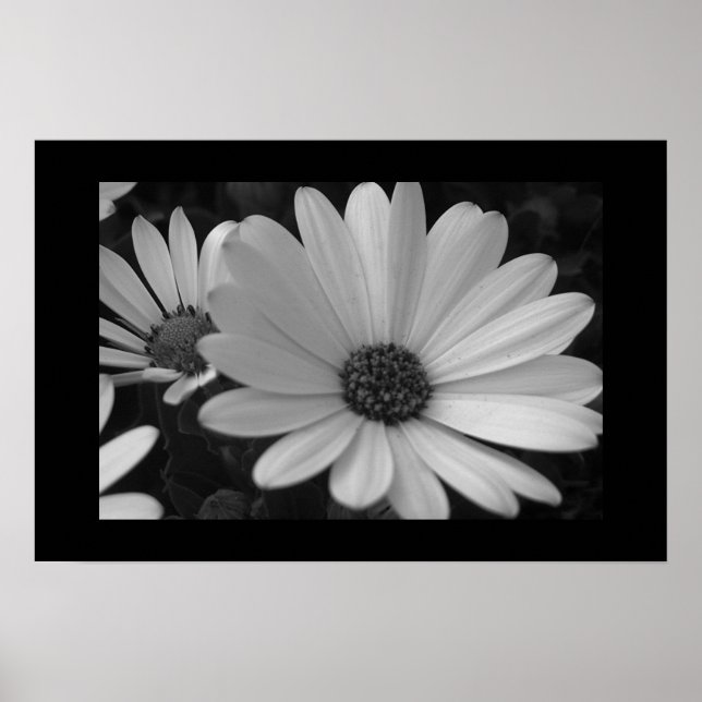 Flowers B&W Poster (Front)
