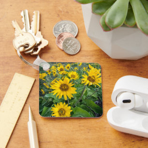 Flowers   Balsomroot Columbia River, Oregon Key Ring