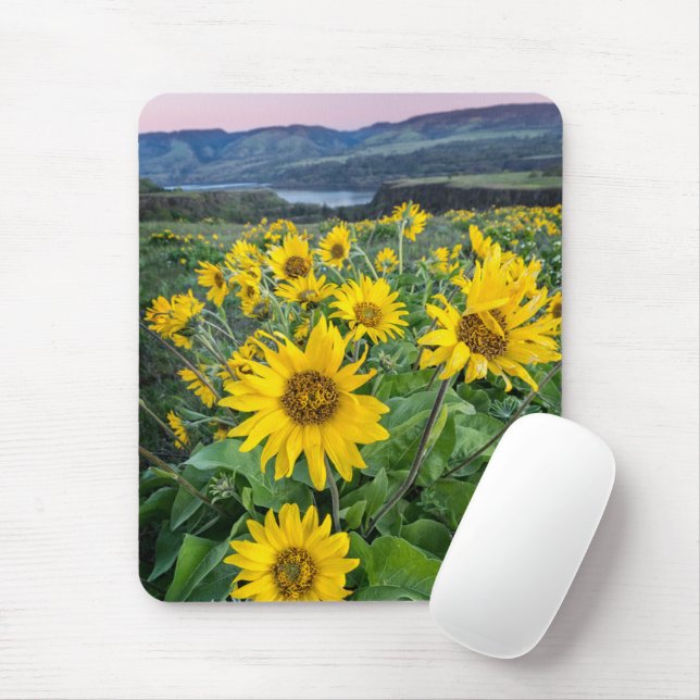 Flowers | Balsomroot Columbia River, Oregon Mouse Pad (With Mouse)