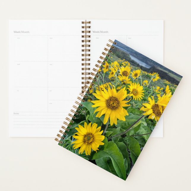 Flowers | Balsomroot Columbia River, Oregon Planner (Display)