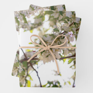 flowers bee wrapping paper sheet