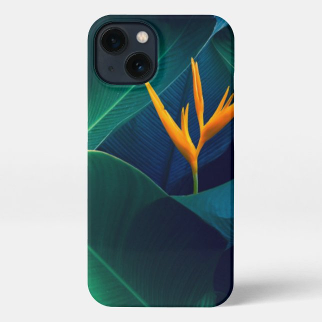 Flowers | Bird of Paradise iPhone Case (Back)