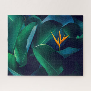 Flowers Bird of Paradise Jigsaw Puzzle