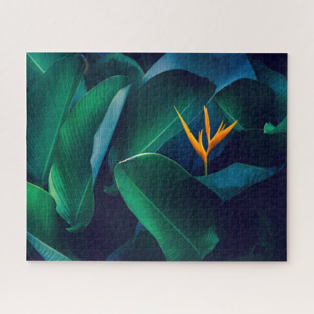 Flowers | Bird of Paradise Jigsaw Puzzle (Horizontal)