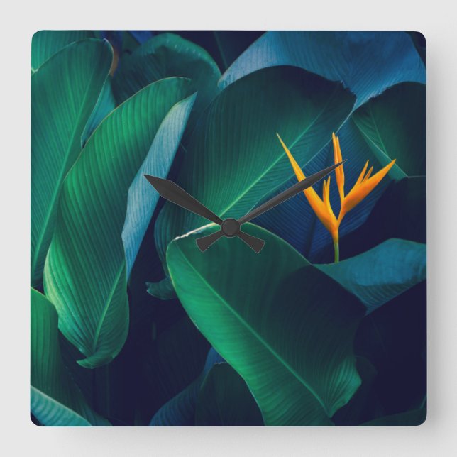 Flowers | Bird of Paradise Square Wall Clock (Front)