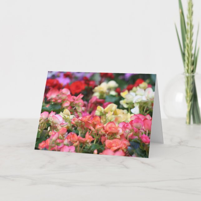 Flowers Bloom in Ginza Card (Front)