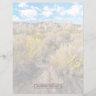 Flowers Blooming Sagebrush California
