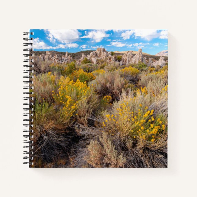 Flowers | Blooming Sagebrush California Notebook (Front)