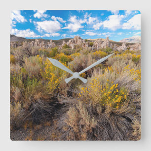 Flowers   Blooming Sagebrush California Square Wall Clock