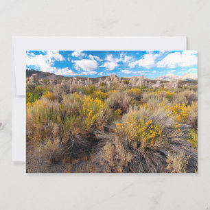 Flowers Blooming Sagebrush California Thank You Card
