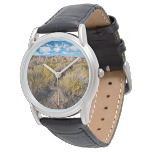 Flowers   Blooming Sagebrush California Watch
