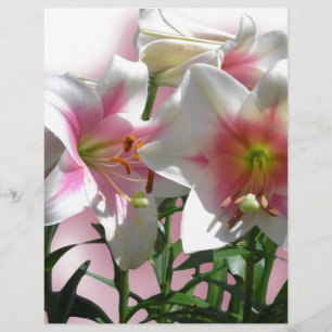 Flowers Blossoms Spring Garden Love Shower Party