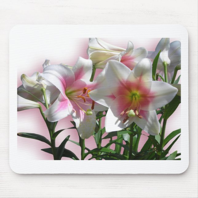 Flowers Blossoms Spring Garden Love Shower Party Mouse Pad (Front)