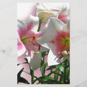 Flowers Blossoms Spring Garden Love Shower Party Stationery