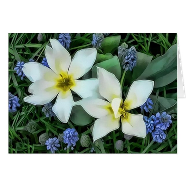 Flowers - Blue and White (Front Horizontal)