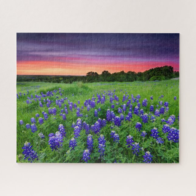Flowers | Bluebonnets at Sunset Texas Jigsaw Puzzle (Horizontal)