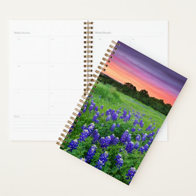 Flowers | Bluebonnets at Sunset Texas Planner (Display)