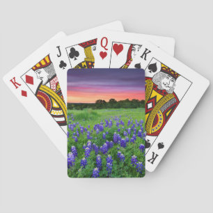 Flowers Bluebonnets at Sunset Texas Playing Cards