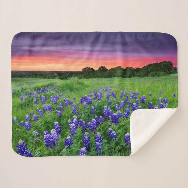 Flowers | Bluebonnets at Sunset Texas Sherpa Blanket (Front (Horizontal))