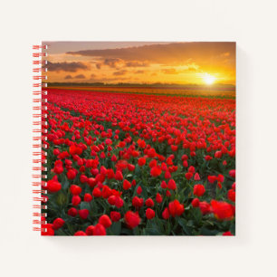 Flowers Botanical Garden Holland Notebook