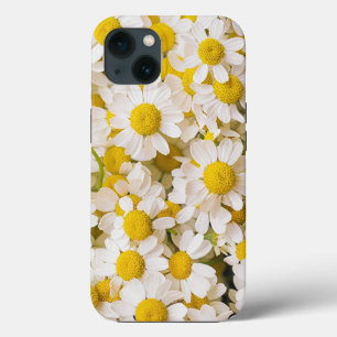 Flowers   Bunch of Chamomiles iPhone 13 Case