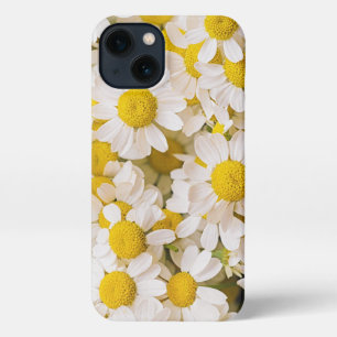 Flowers   Bunch of Chamomiles iPhone 13 Case
