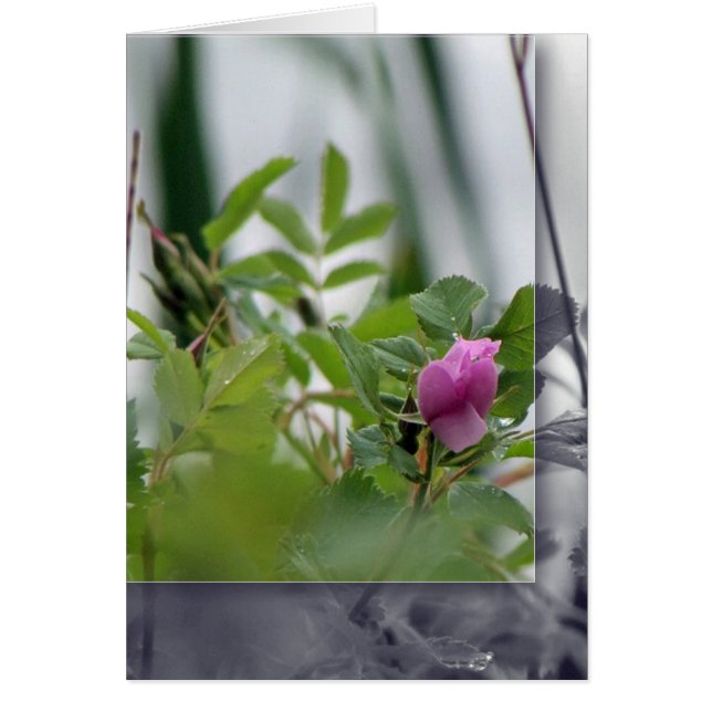 Flowers by the Lake - Pink (Front)