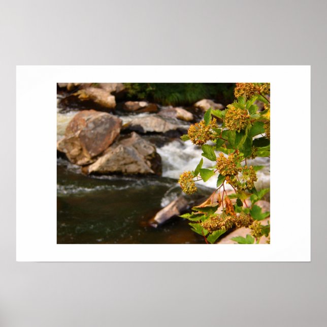 flowers by the river poster (Front)