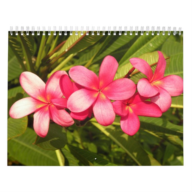 Flowers Calendar (Cover)