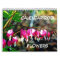 Flowers Calendar 2013