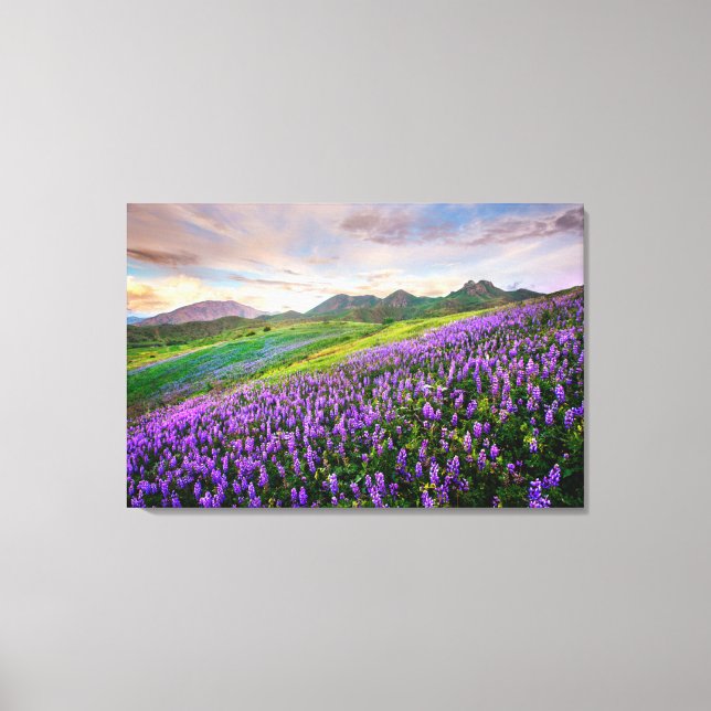 Flowers | California Wildflowers Canvas Print (Front)