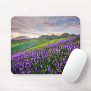 Flowers   California Wildflowers Mouse Pad