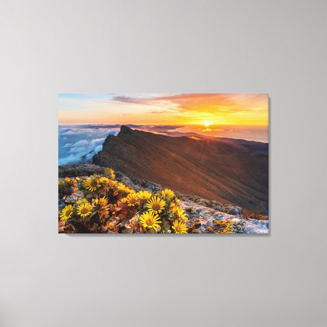 Flowers | Canary Islands, Spain Canvas Print (Front)