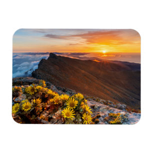 Flowers Canary Islands, Spain Magnet