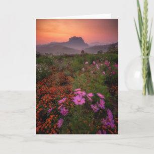 Flowers   Chiang Dao, Chiang Mai, Thailand Card