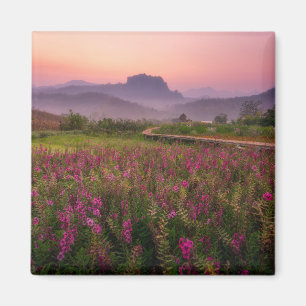 Flowers   Chiang Dao, Chiang Mai, Thailand Magnet