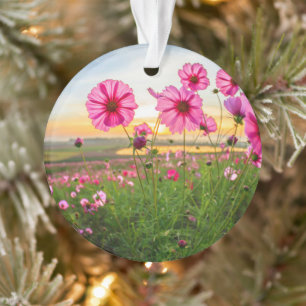 Flowers  Chiang Rai Province, Thailand Ornament