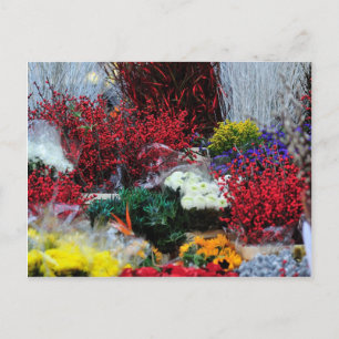 Flowers, Christmas, winter, special occasion Holiday Postcard