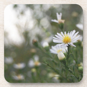 Flowers Coaster