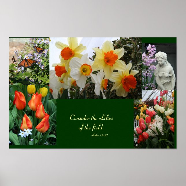 Flowers "Consider  the lilies of the field" poster (Front)
