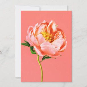 Flowers Coral Peony Blossom Thank You Card